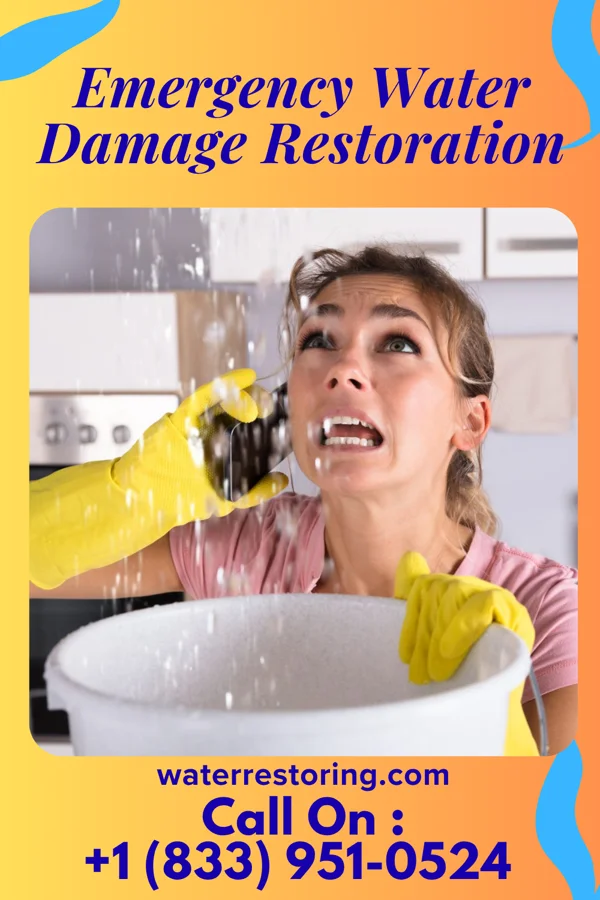 Emergency Water Damage Restoration in Johnson, MN