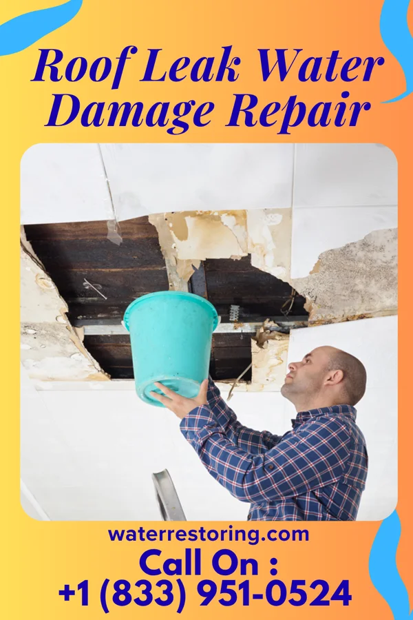Roof Leak Water Damage Repair in Johnson, MN