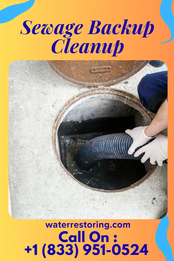 Sewage Backup Cleanup in Johnson, MN