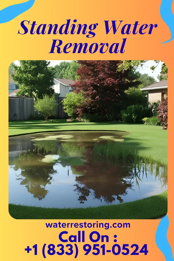 Standing Water Removal in Johnson, MN